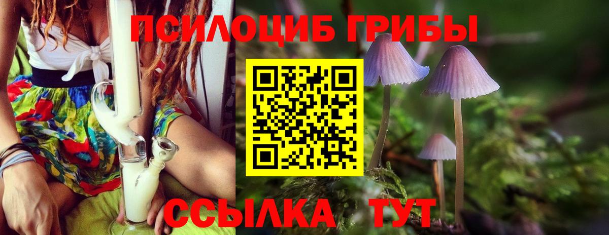 Псилоцибиновые грибы Psilocybine cubensis  Галлюциногенные грибы ЛСД  Вход с VPN  Ульяновск 